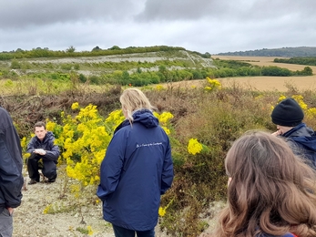 YR Totternhoe Butterfly Banks