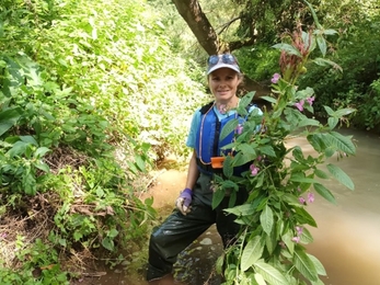 Lady standing on a rivers edge with a handful of Himalayan Balsam