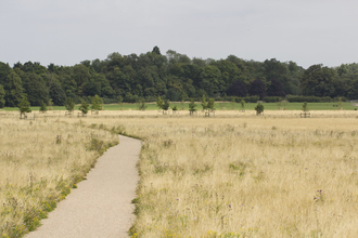 Trumpington Meadows 
