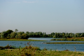 Summer Leys - Credit RNRP