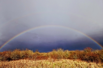 Rainbow over Strawberry Hill