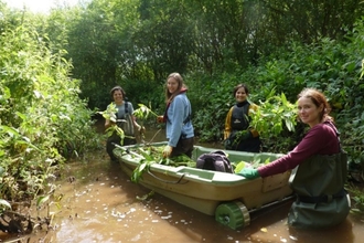 Team in waders in a river removing Himalayan Balsam