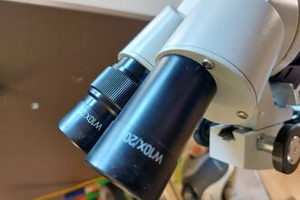 Microscope