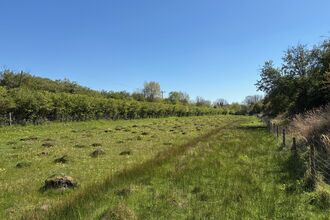 Woodwalton Marsh