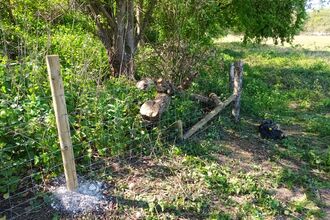 New fence post