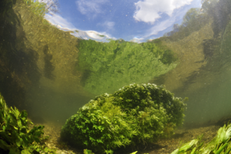 Chalk stream by Linda Pitkin/2020VISION