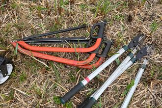 bosaws and loppers on the ground