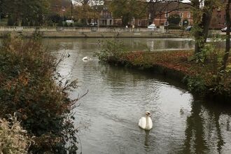 Bedford Embankment 