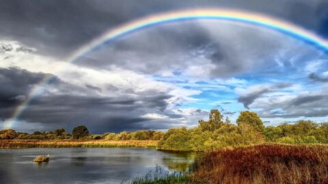 A rainbow bridging a stormy sky and a blue sky over wetland at the Great Fen
