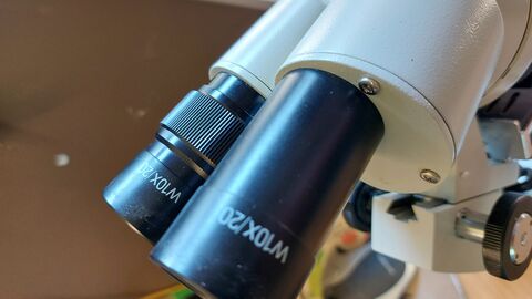Microscope