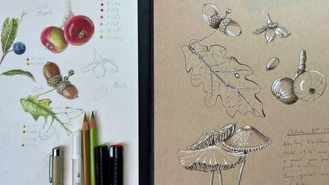 Botanical drawing