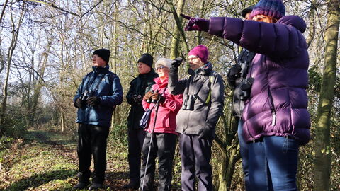 group of people birdwatching