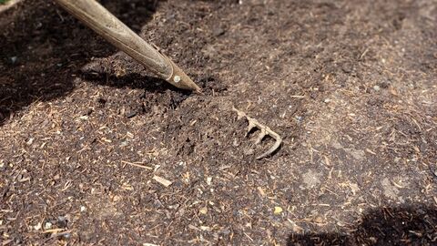 raking at Cambourne Church Community Garden by Rebecca Neal