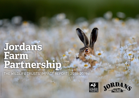 Cover of the 2018-19 impact report