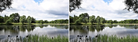 Spot the 5 differences - countryside lake