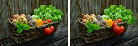 Spot the 5 differences - basket of vegetables
