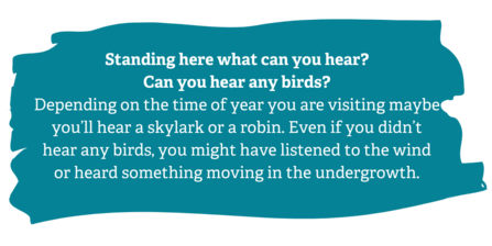 Activity description: "Standing here what can you hear? Can you hear any birds? Depending on the time of year you are visiting maybe you’ll hear a skylark or a robin. Even if you didn’t hear any birds, you might have listened to the wind or heard something moving in the undergrowth."