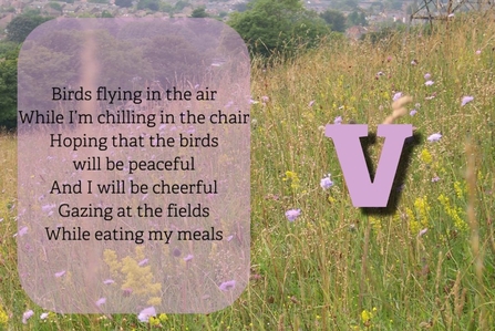 "Birds flying in the air, While I’m chilling in the chair, Hoping that the birds will be peaceful, And I will be cheerful, Gazing at the fields, While eating my meals"