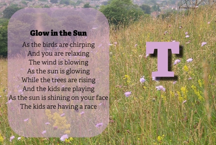 Glow in the Sun  As the birds are chirping,  And you are relaxing,  The wind is blowing As the sun is glowing While the trees are rising And the kids are playing As the sun is shining on your face The kids are having a race