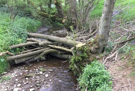 Leaky Dam example