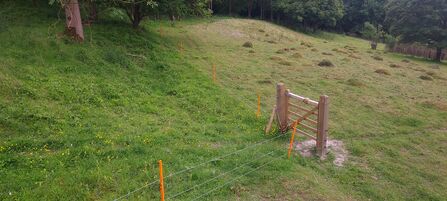 Beds gate 0426