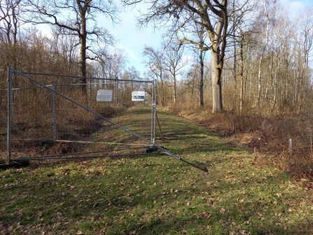 Waresley fencing