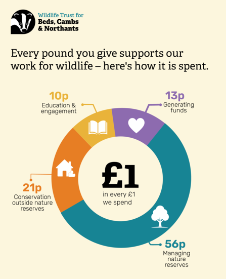 A graphic showing what in a pound goes where: 13p goes to generating funds, 56pm goes to managing nature reserves, 21p goes to conservation outside nature reserves, and 10p goes to education and engagement