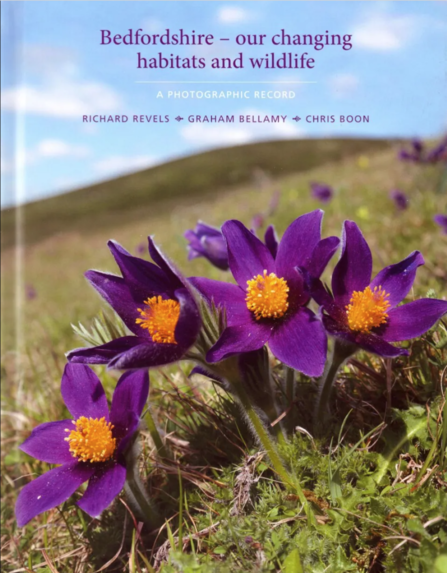 The cover of Bedfordshire – our changing habitats and wildlife