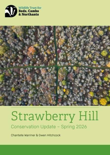 Strawberry Hill report
