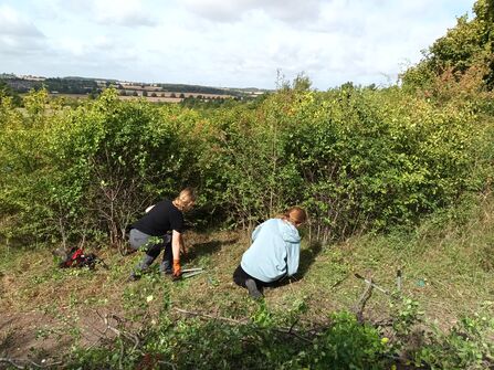 Wilder Luton Trainees (2)