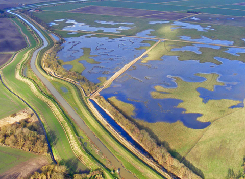 Willow Tree Fen
