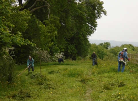 Blows Downs Volunteers cutting willowherb