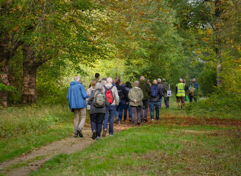 A group of members walking through a woodland trail